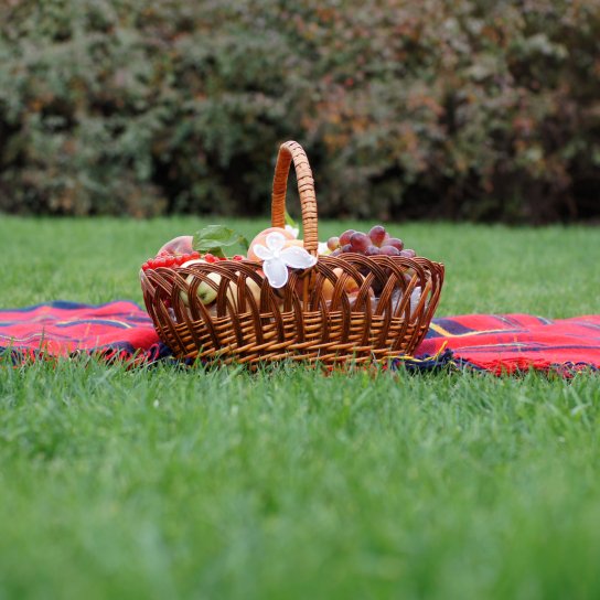 кошик для пікніка на траві