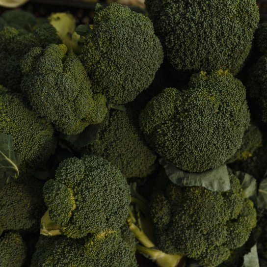 Капуста броколі