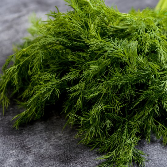 Зелений кріп