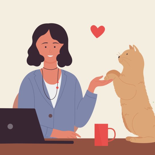 Жінка за ноутбуком