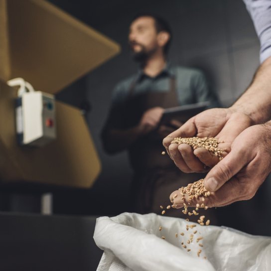 Пивні дріжджі