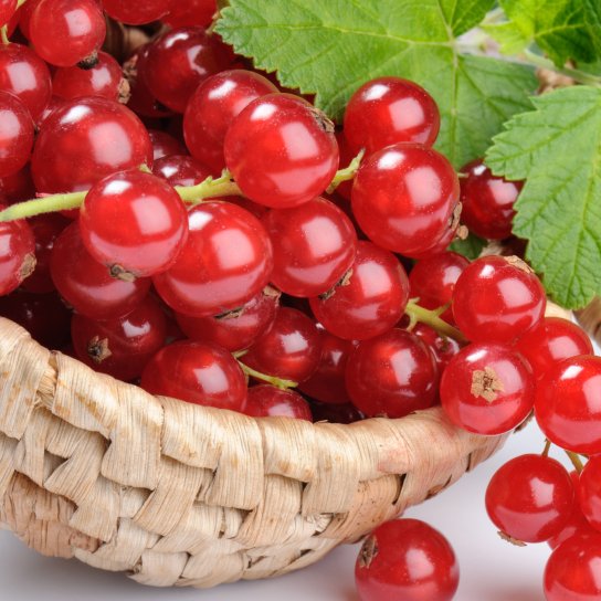 Червоні порічки