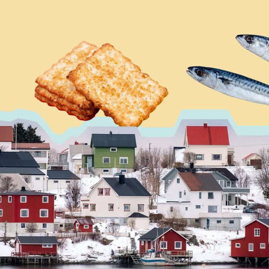 Скандинавська спіжарка