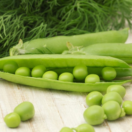 Зелений горошок