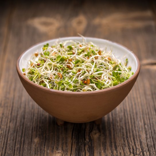 Паростки пшениці