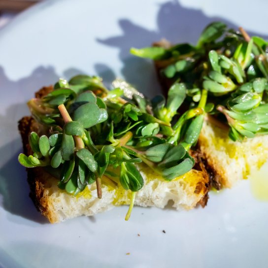 Маринований портулак