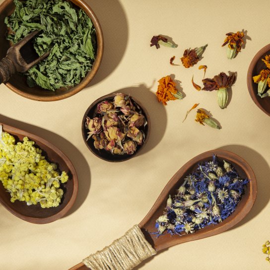 Що таке адаптогени