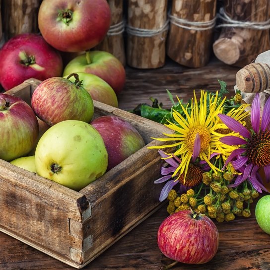 яблука, мед на Яблучний Спас