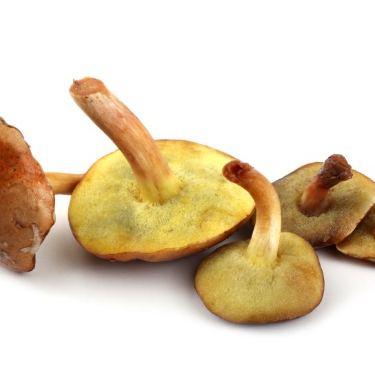 Суп з маслюками