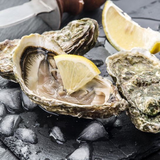 Устриці