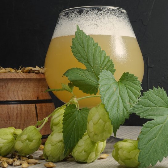 Домашнє пиво