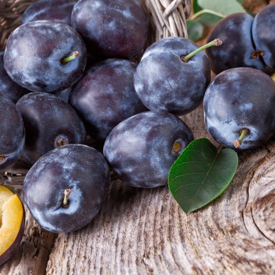 Слива угорка