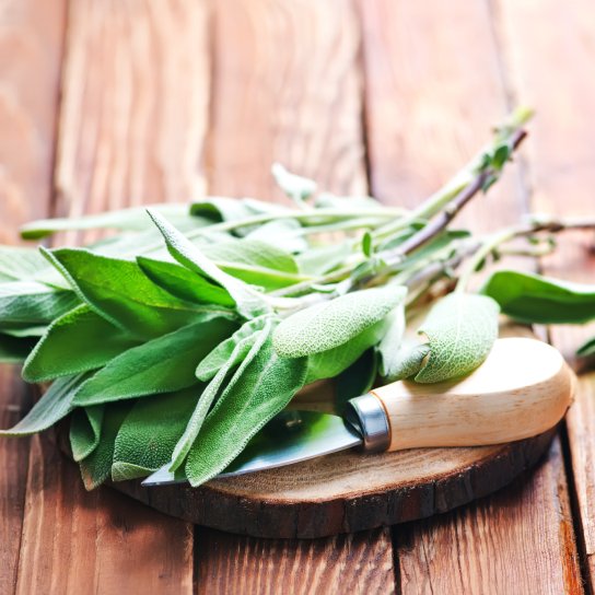 Свежий шалфей