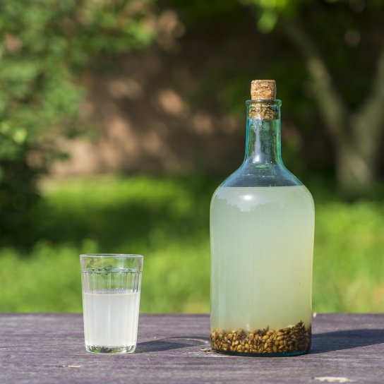 Вівсяний квас