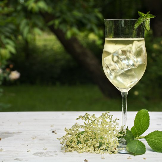 Домашнє бузинове шампанське