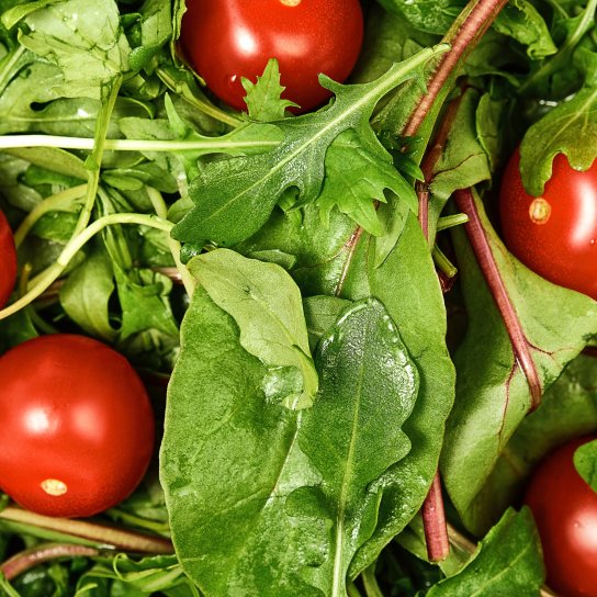 Салатна зелень