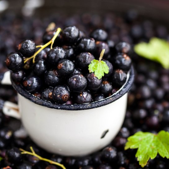 Смородина без цукру