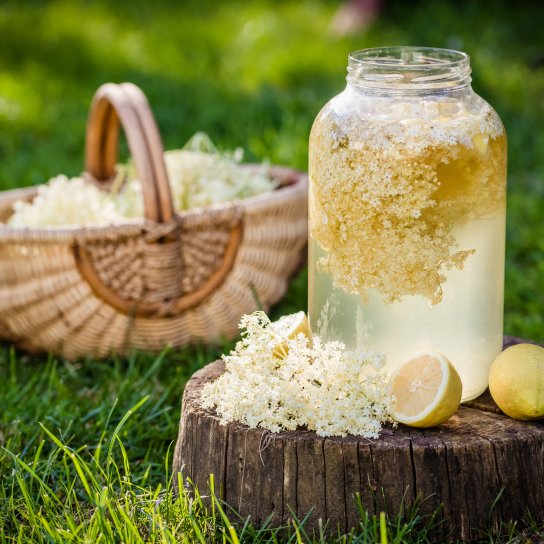 Бузиновый физ в банке