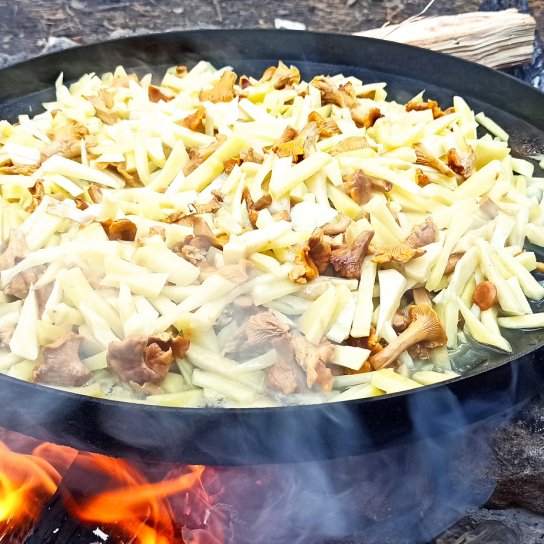 картопля з грибами на диску з борони