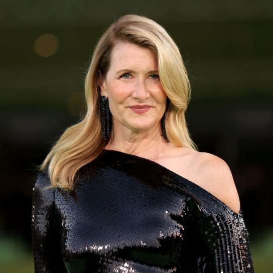 Актриса Лора Дерн/instagram.com/lauradern/
