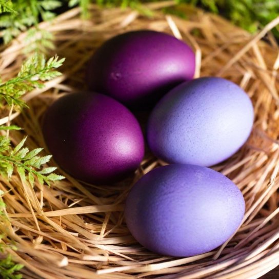 Як пофарбувати яйця чорницею