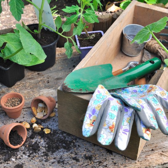 Календар садівництва-городництва