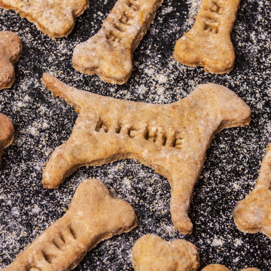 Ласощі для собак для здорового травлення