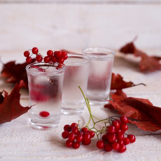 Смородинова калинівка