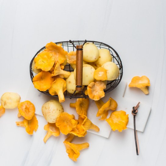 Як сушити гриби