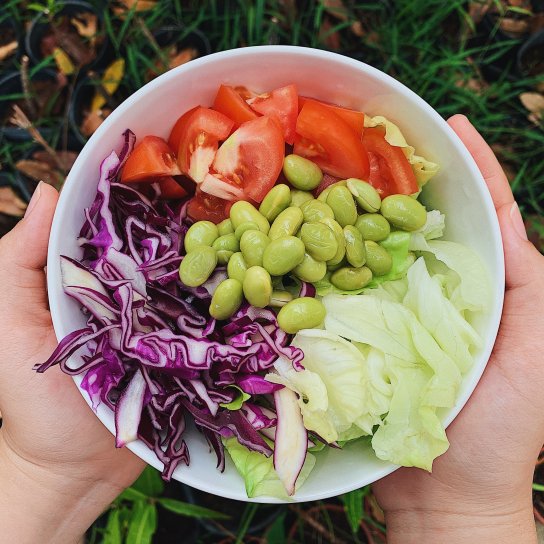 Вегетаріанство