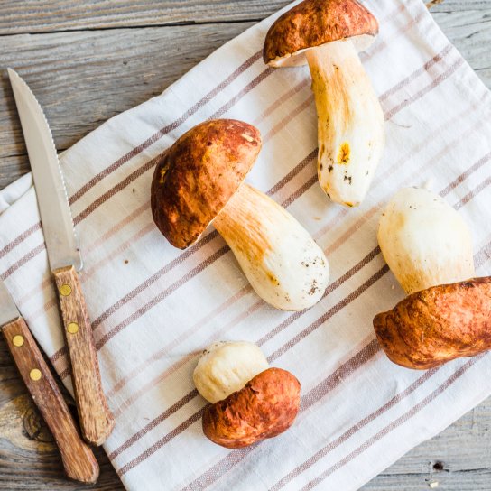 Як правильно готувати білі гриби