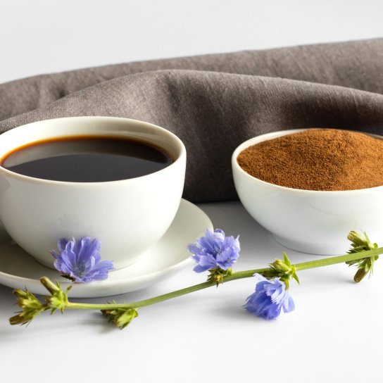 Цикорій користь