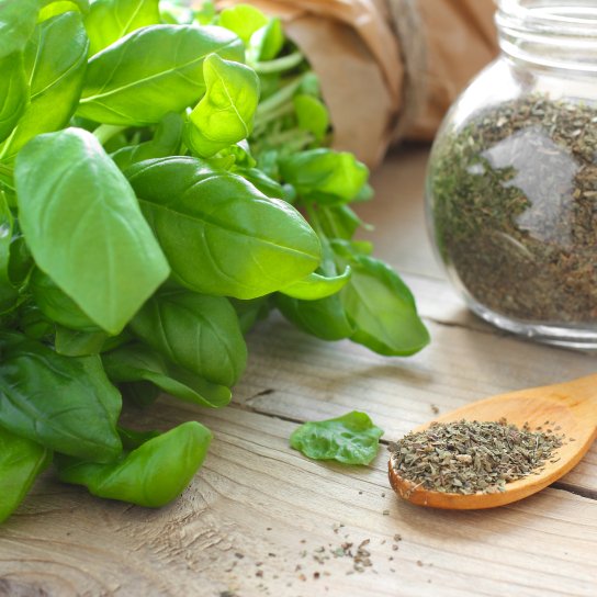 Зелений і сушений базилік