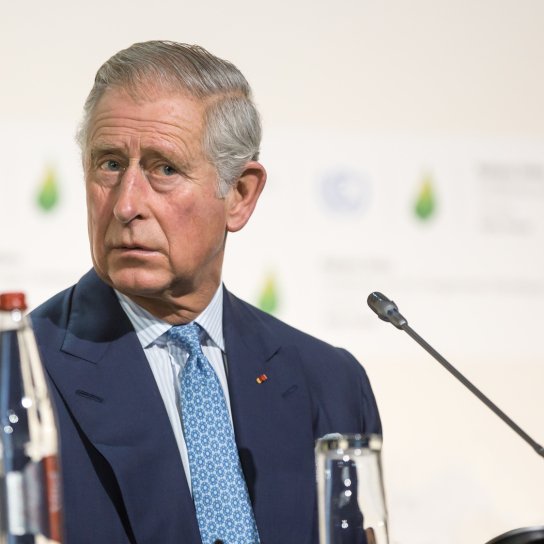 Король Карл ІІІ