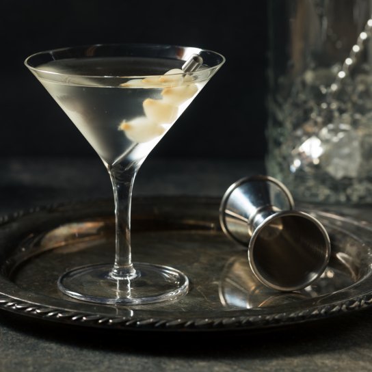 Гібсон мартіні