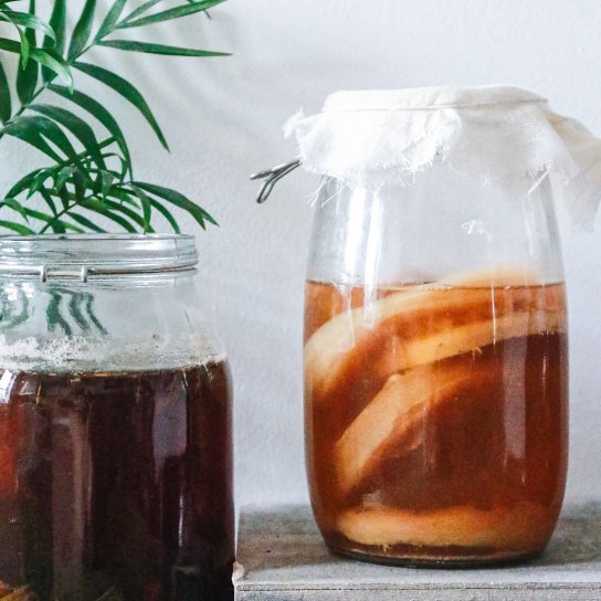 чайний гриб