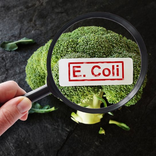 Харчове отруєння