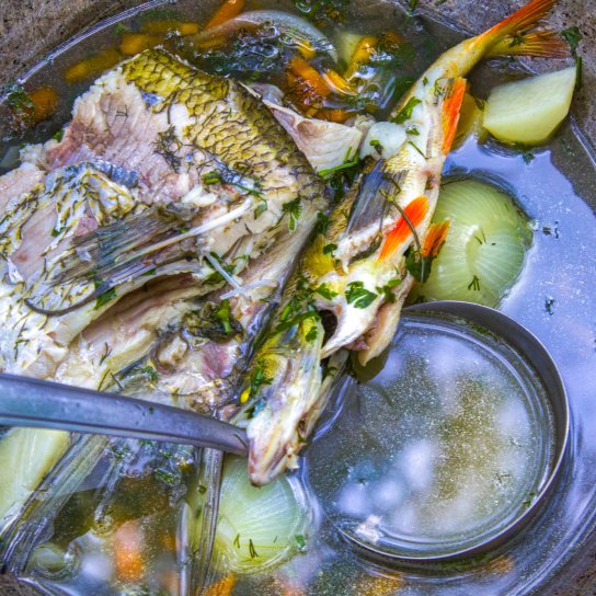 Таврійська рибна юшка