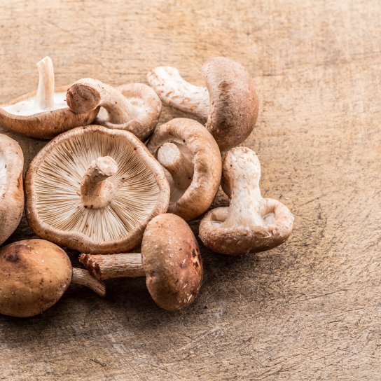 Гриби шиїтаке