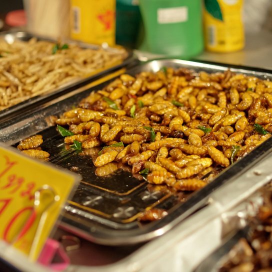 Сушені гусениці та личинки