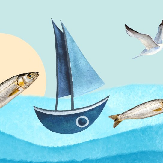 Що таке матіас