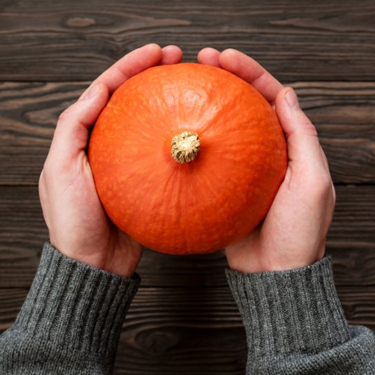 Гарбуз хоккайдо