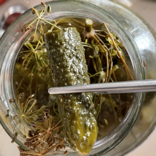 Солоні огірки