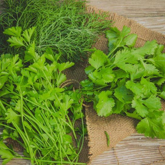 Кріп, петрушка, кінза