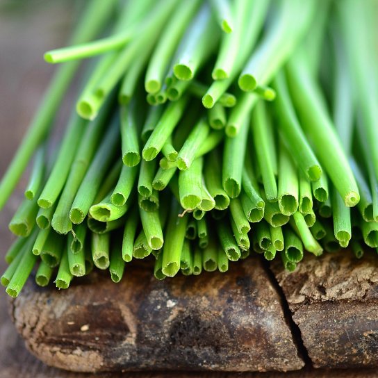 Зелена цибуля