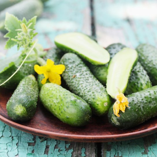 свіжі огірки