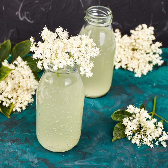 Газированный квас из бузины