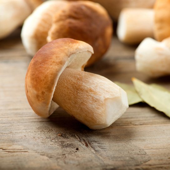 Білі гриби на мангалі