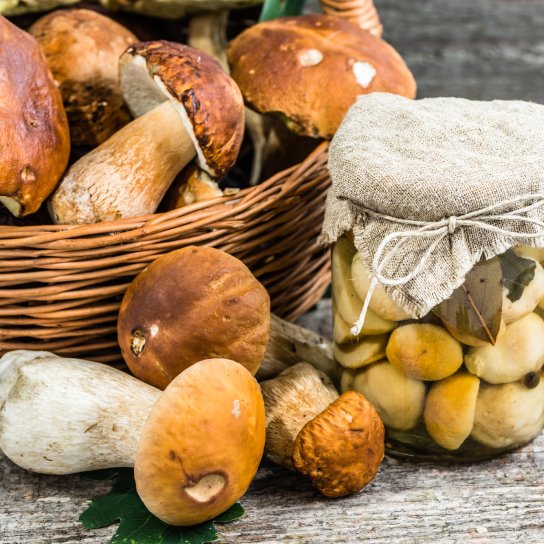 Мариновані білі гриби без стерилізації