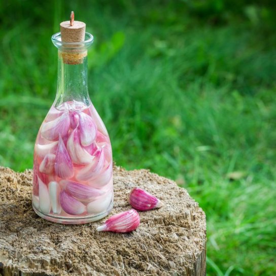 Настоянка часника на горілці